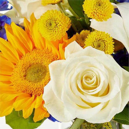 Stargazing Bouquet –  Best Choice Floral And Landscape, Hortonville WI