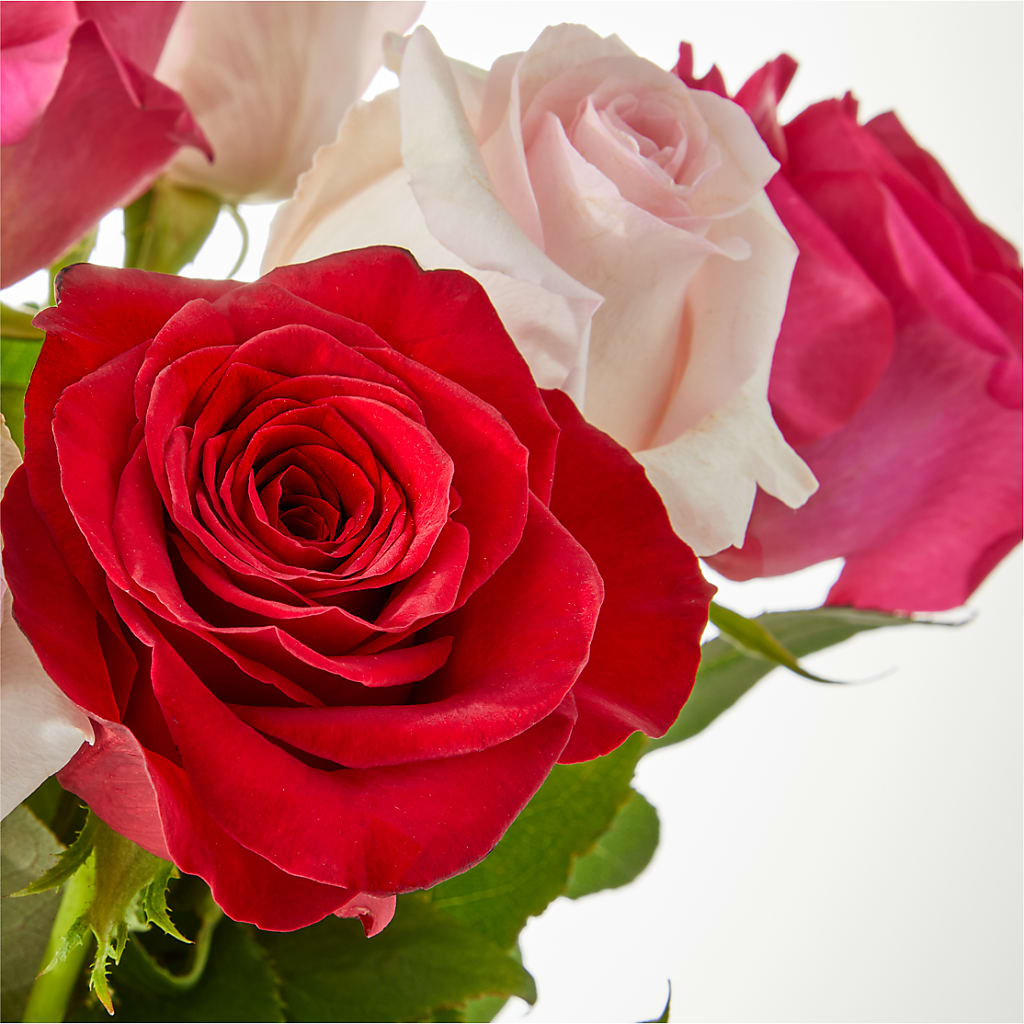 Charming Rose Bouquet –  Best Choice Floral And Landscape, Hortonville WI