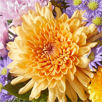 Countryside Bouquet –  Best Choice Floral And Landscape, Hortonville WI