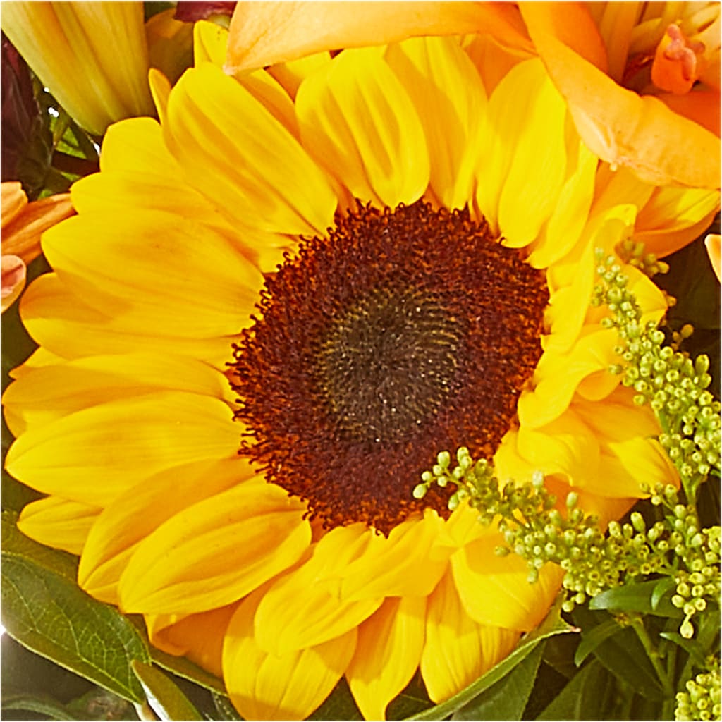 Seasons Change Bouquet –  Best Choice Floral And Landscape, Hortonville WI