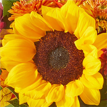 Sunny Side Bouquet –  Best Choice Floral And Landscape, Hortonville WI