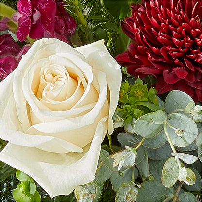 Cranberry Fizz Bouquet –  Best Choice Floral And Landscape, Hortonville WI