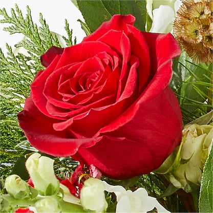 Deck the Halls Bouquet –  Best Choice Floral And Landscape, Hortonville WI