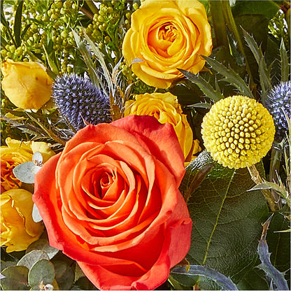 Disco Bouquet –  Best Choice Floral And Landscape, Hortonville WI