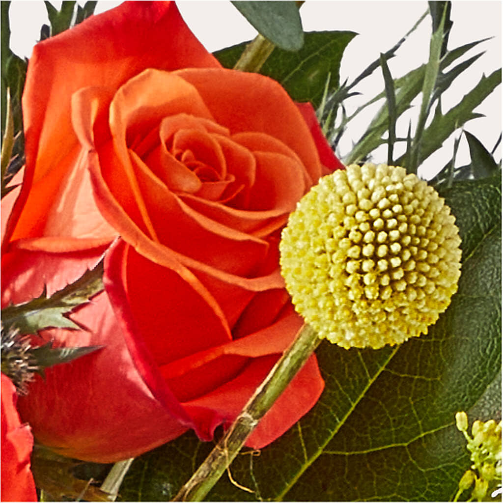 Disco Bouquet –  Best Choice Floral And Landscape, Hortonville WI