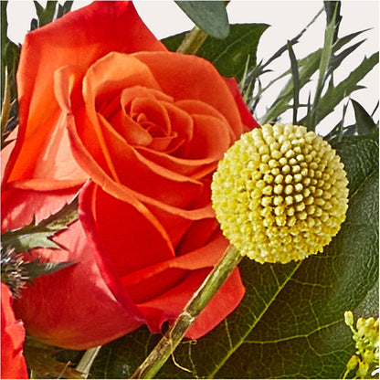 Disco Bouquet –  Best Choice Floral And Landscape, Hortonville WI
