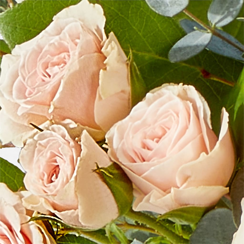 Inspired Bouquet –  Best Choice Floral And Landscape, Hortonville WI