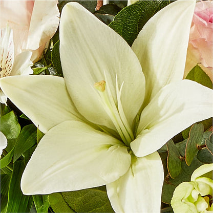 Ballet Slippers Bouquet –  Best Choice Floral And Landscape, Hortonville WI