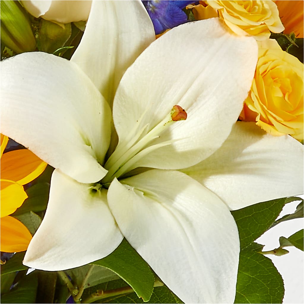 Wonderfully Sunny Bouquet –  Best Choice Floral And Landscape, Hortonville WI
