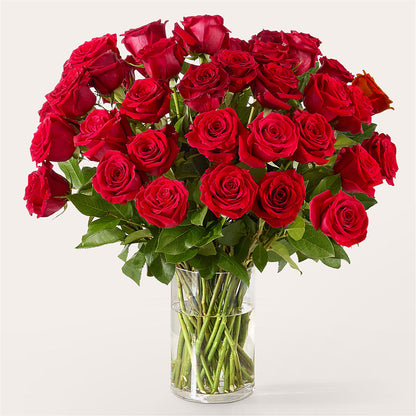 The One Red Rose Bouquet –  Best Choice Floral And Landscape, Hortonville WI
