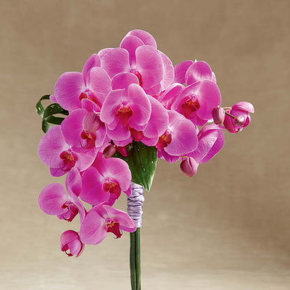 Glorious Bouquet –  Best Choice Floral And Landscape, Hortonville WI