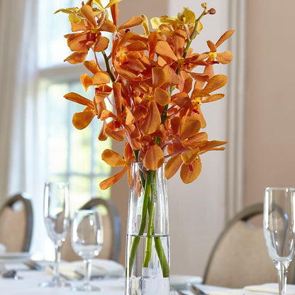 Orange Mokara Bud Vase –  Best Choice Floral And Landscape, Hortonville WI