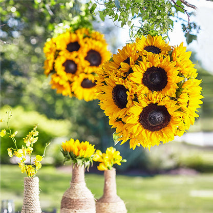 Sublime Garden Hanging Arrangement –  Best Choice Floral And Landscape, Hortonville WI