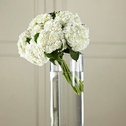 White Hydrangea Hand-Tied Bouquet –  Best Choice Floral And Landscape, Hortonville WI