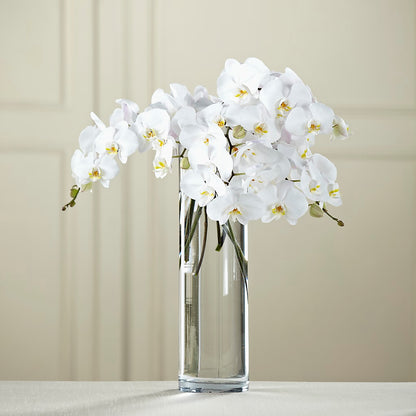 White Phalaenopsis Bouquet –  Best Choice Floral And Landscape, Hortonville WI