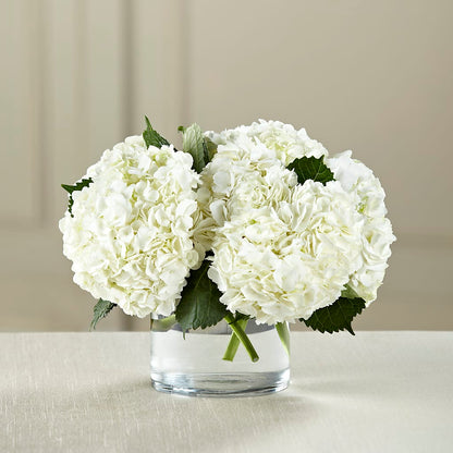 White Hydrangea Bouquet –  Best Choice Floral And Landscape, Hortonville WI