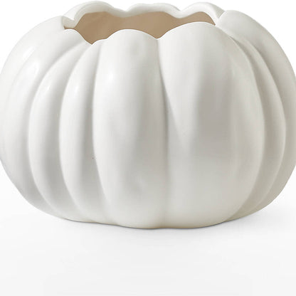 Pumpkin to Talk About Bouquet –  Best Choice Floral And Landscape, Hortonville WI